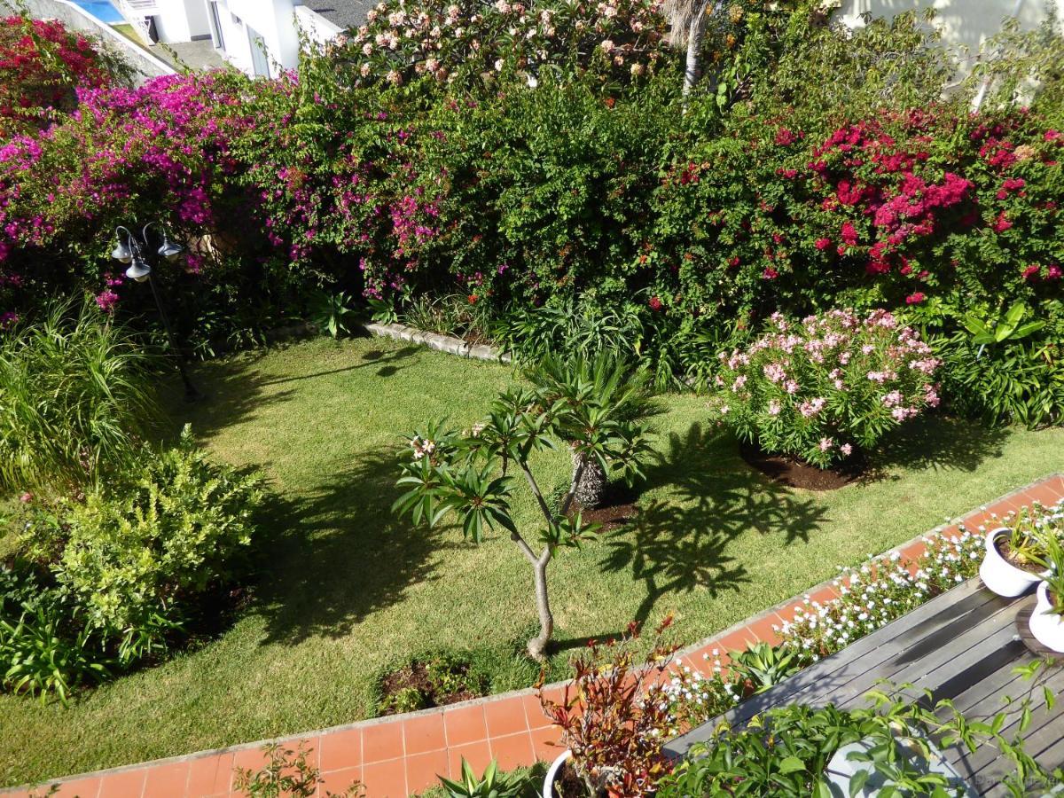 Villa Erika Madeira Canico  Luaran gambar